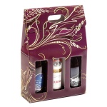 3 bottle box with handle