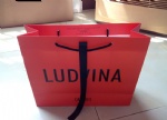 Ludvina paper bag